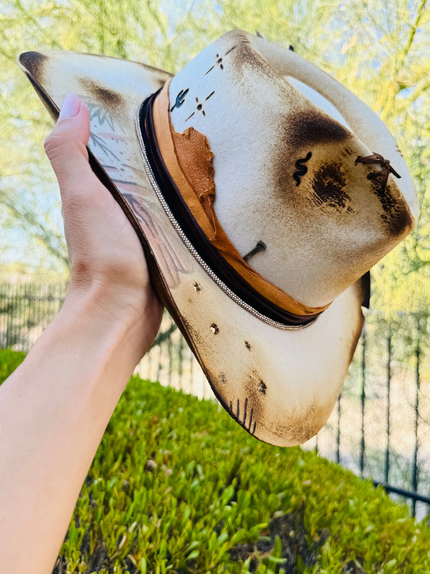 NU-scenic Az + Dyed Ivory Traditional Gambler cut