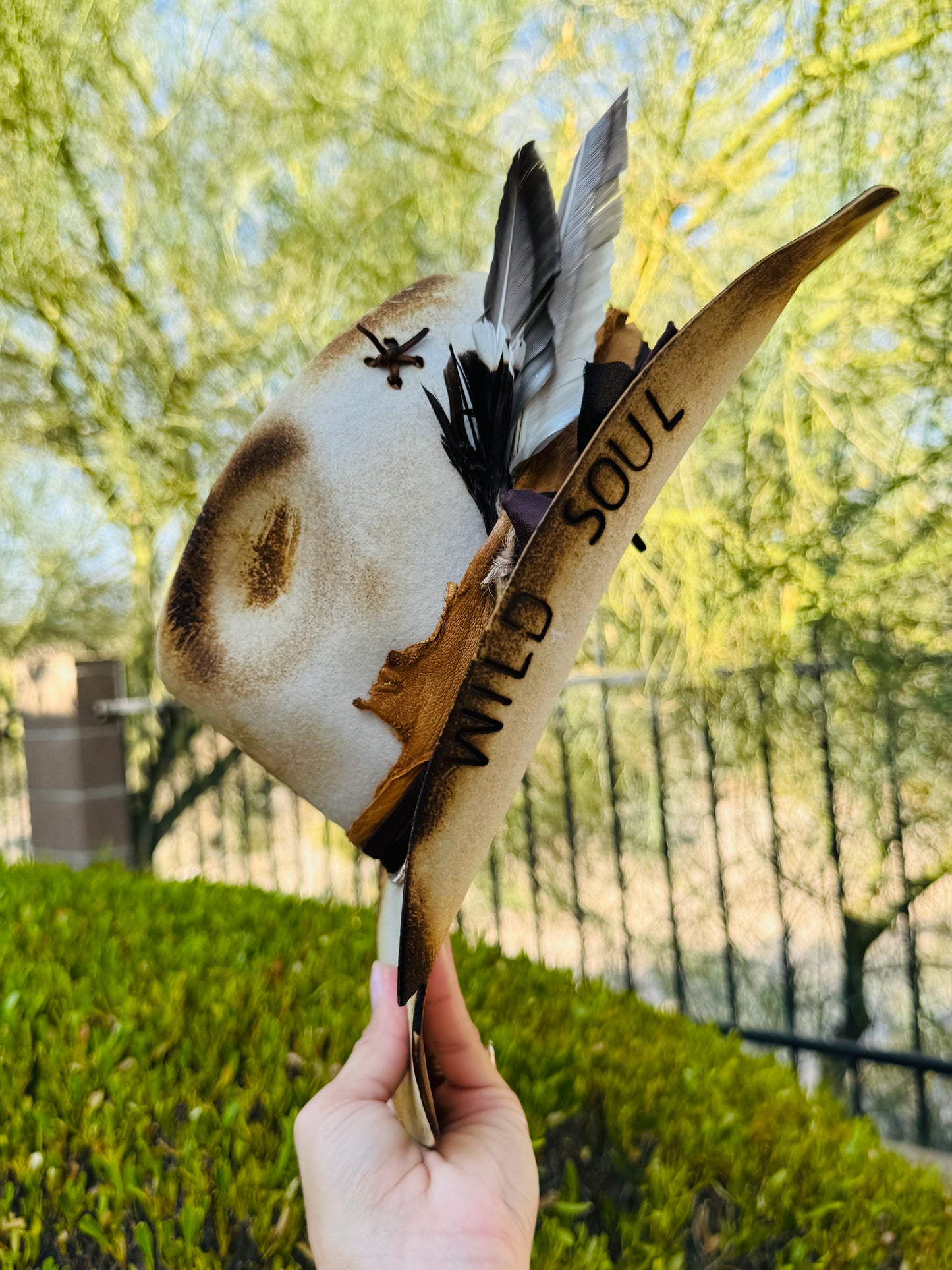 NU-scenic Az + Dyed Ivory Traditional Gambler cut