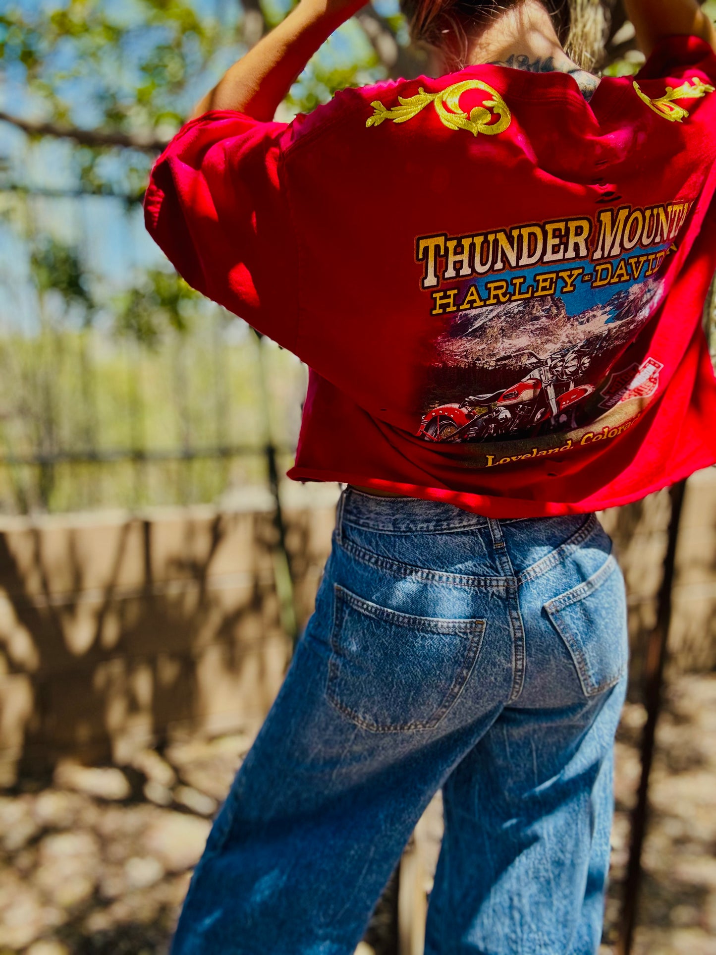 HD-AUTH TAG VINTAGE HD RED THUNDER MOUNTAIN - MENS 2XL ( cut a little smaller fit like XL wide)