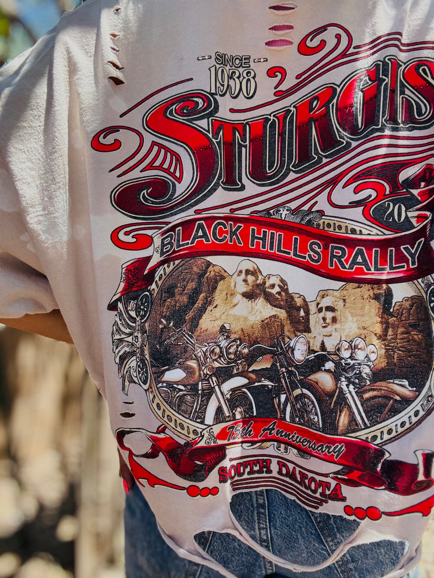 HD-STURG AMERICA - MENS 2XL