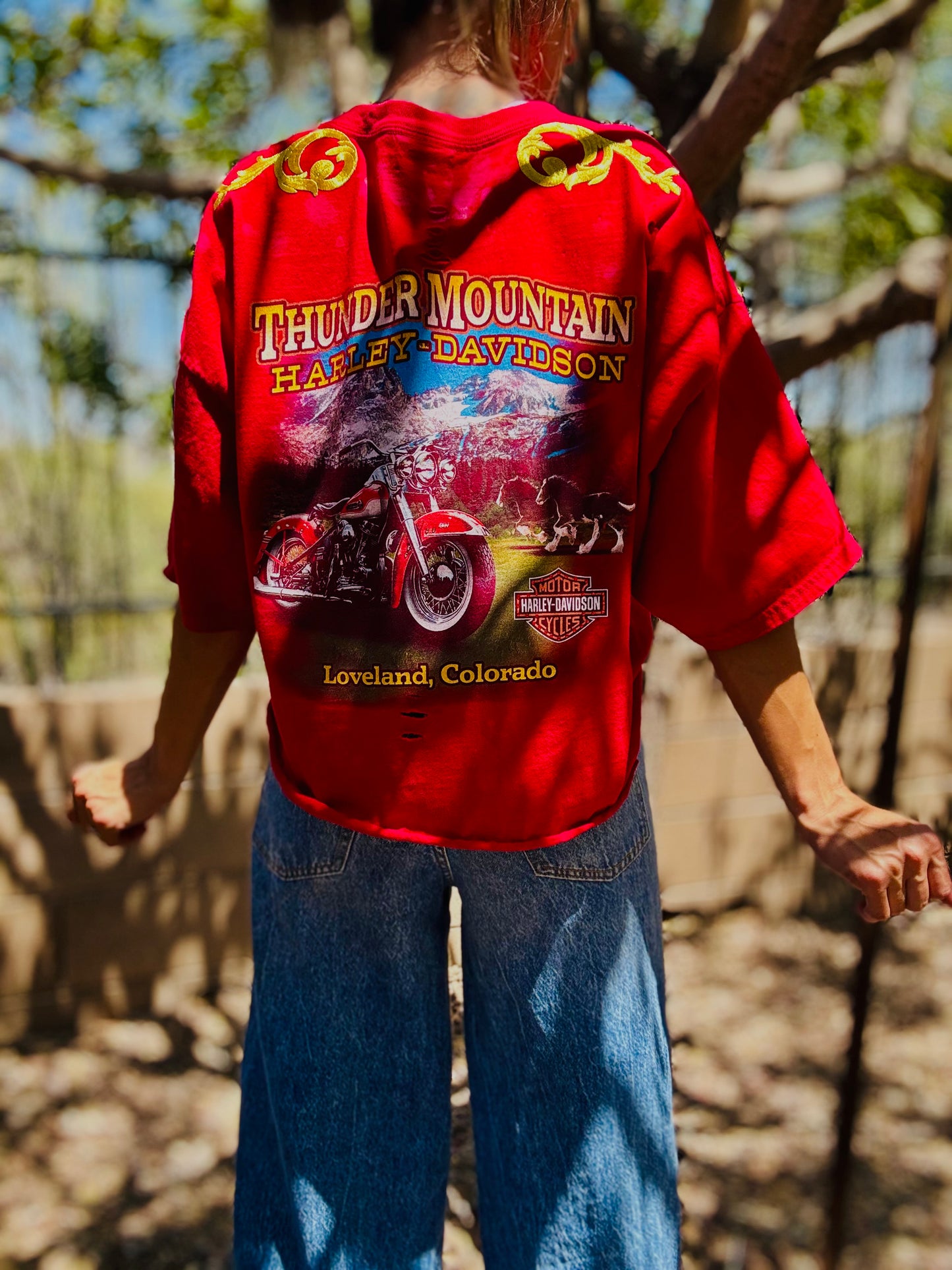 HD-AUTH TAG VINTAGE HD RED THUNDER MOUNTAIN - MENS 2XL ( cut a little smaller fit like XL wide)
