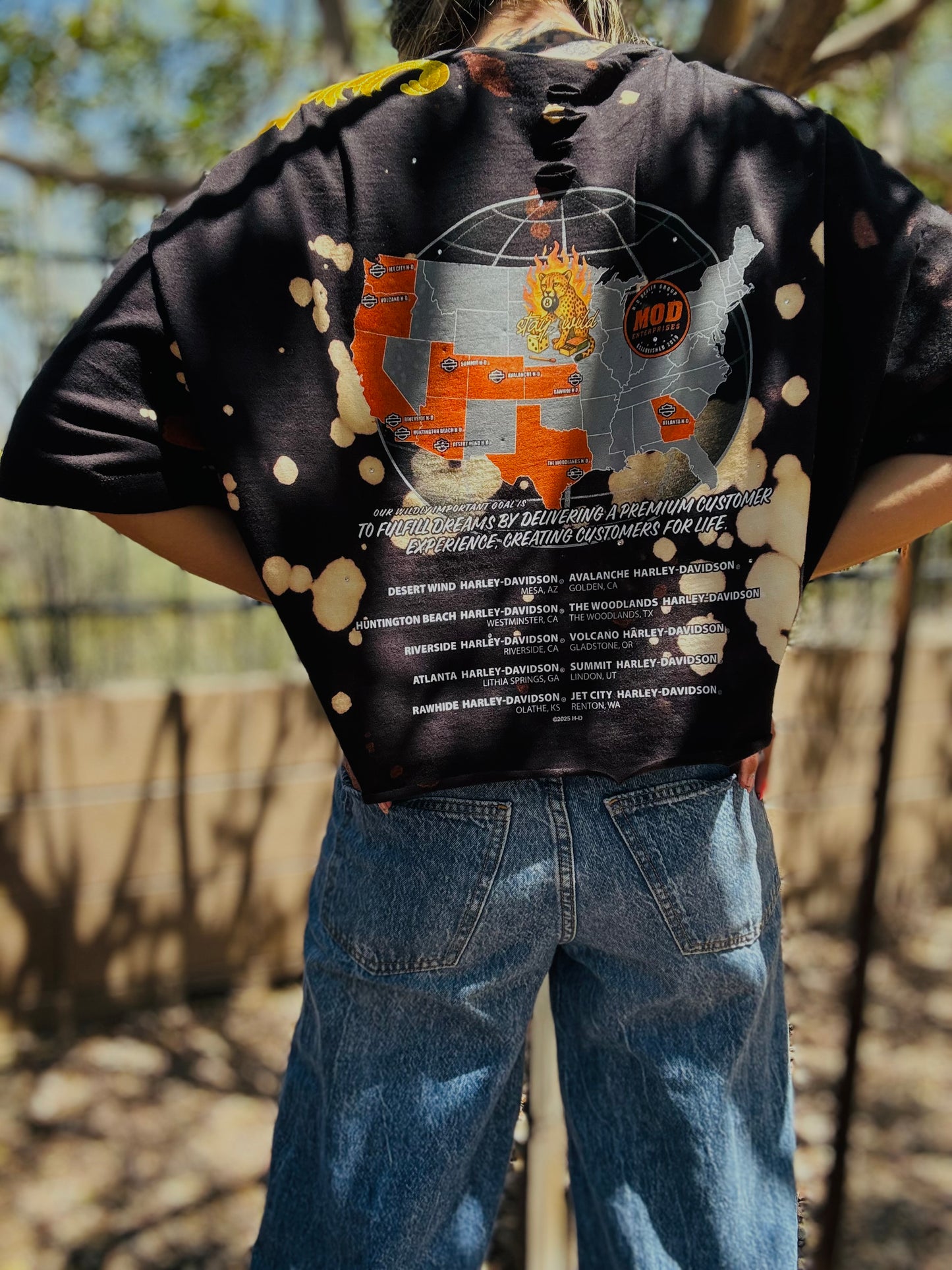 HD-AUTH TAG VINTAGE HD MESA AZ STAY WILD LEOPARD ON MAP - MENS XL