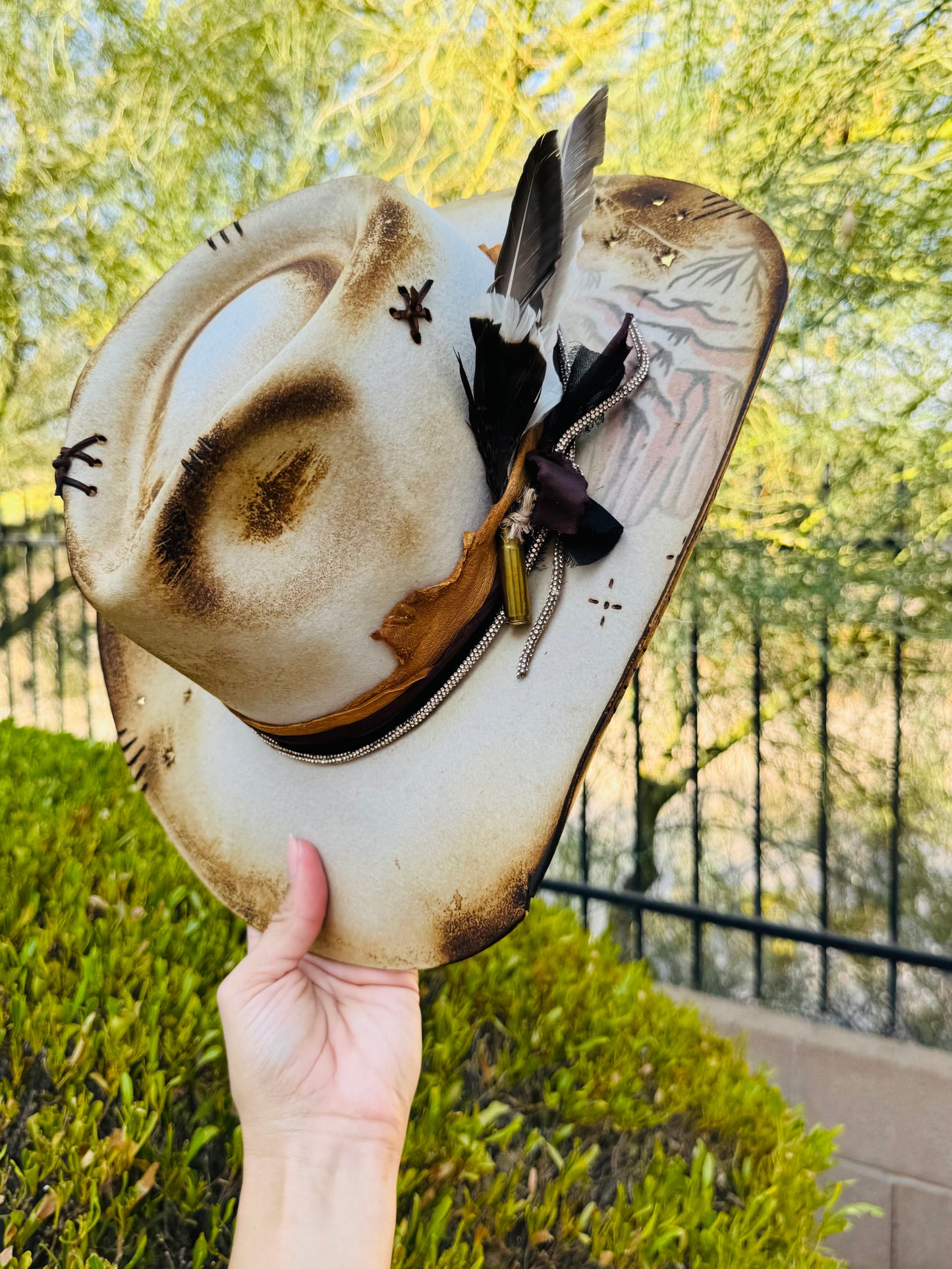 NU-scenic Az + Dyed Ivory Traditional Gambler cut