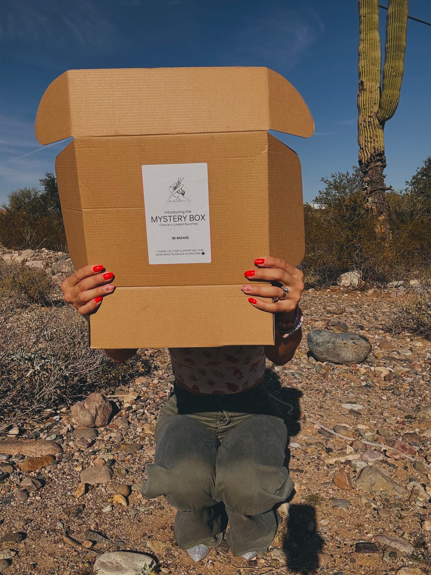 MYSTERY Boxes CHARLIES LOCAL FAVS THEME