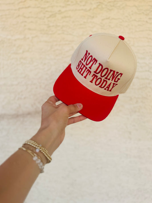 VT- Not Doing Shit Today- Bombshell Red vintage SnapBack