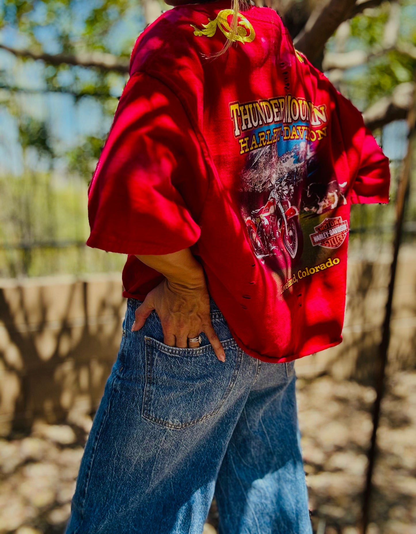 HD-AUTH TAG VINTAGE HD RED THUNDER MOUNTAIN - MENS 2XL ( cut a little smaller fit like XL wide)